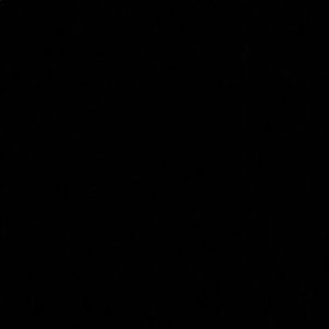 Meet your Posher, Niya